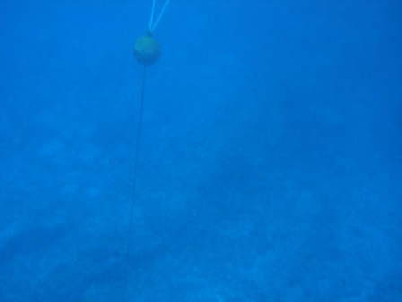 Boat Mooring Kona